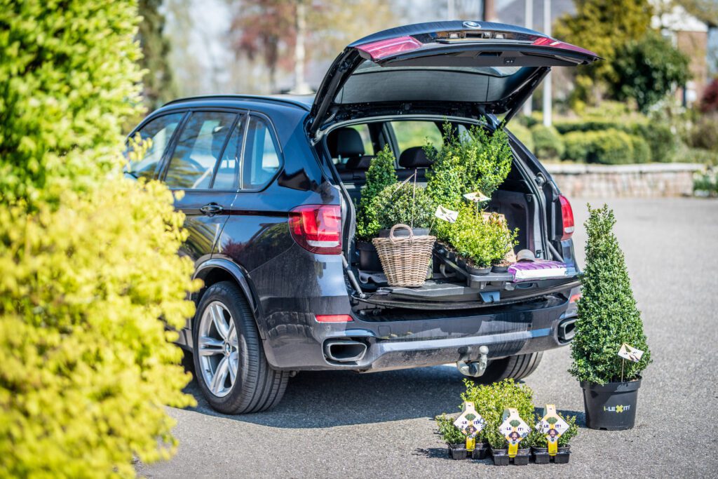 Verzending van jouw Ilex