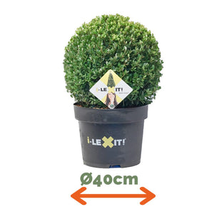 Ilex Bol – Ø40 cm met 48 lamps verlichting op batterijen 2