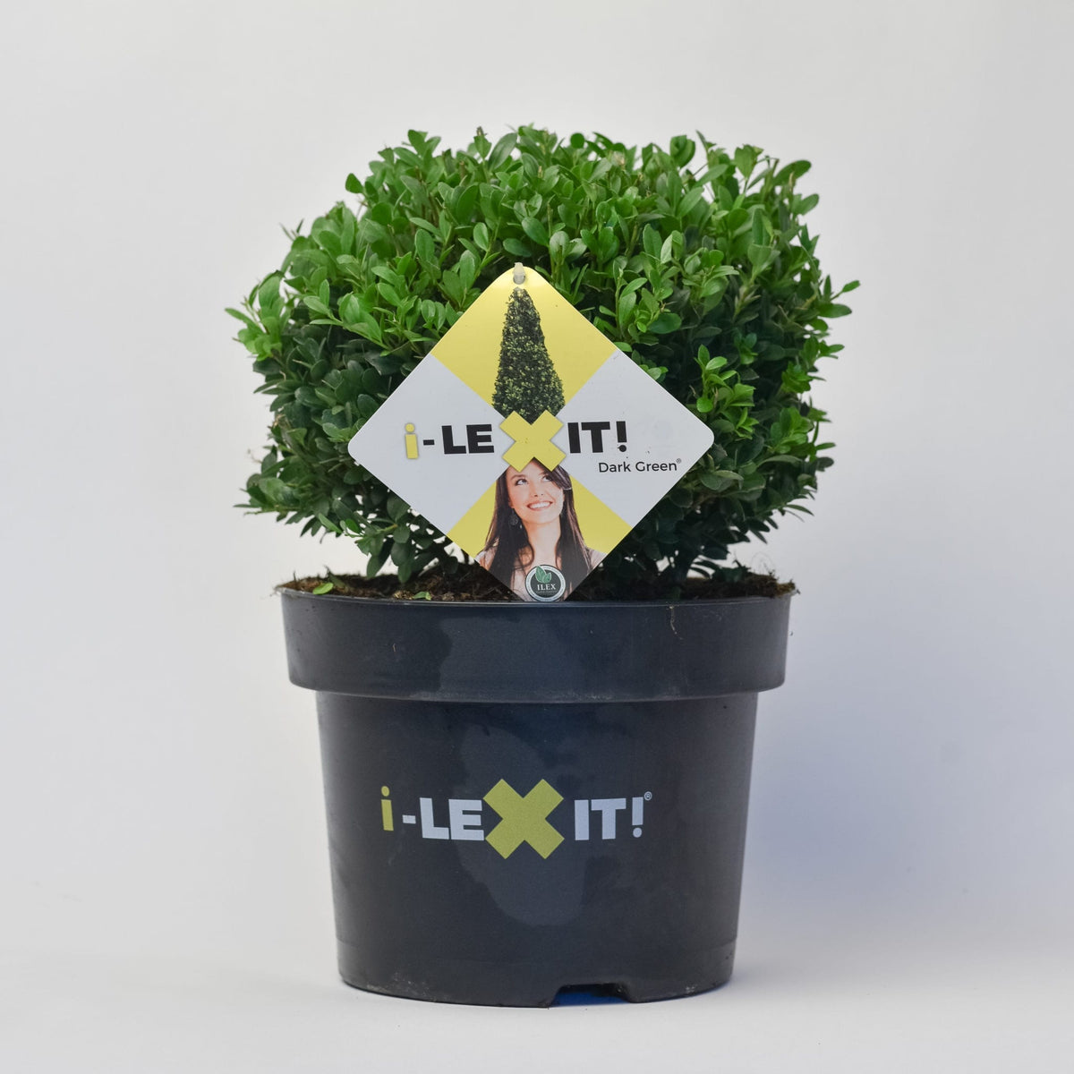 Ilex Bol – Ø25 cm