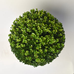 Ilex Bol – Ø40 cm met 48 lamps verlichting op batterijen 4