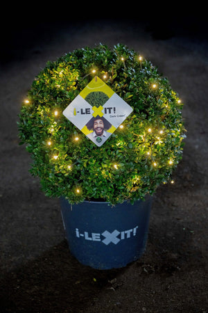 Ilex Bol – Ø40 cm met 48 lamps verlichting op batterijen 1